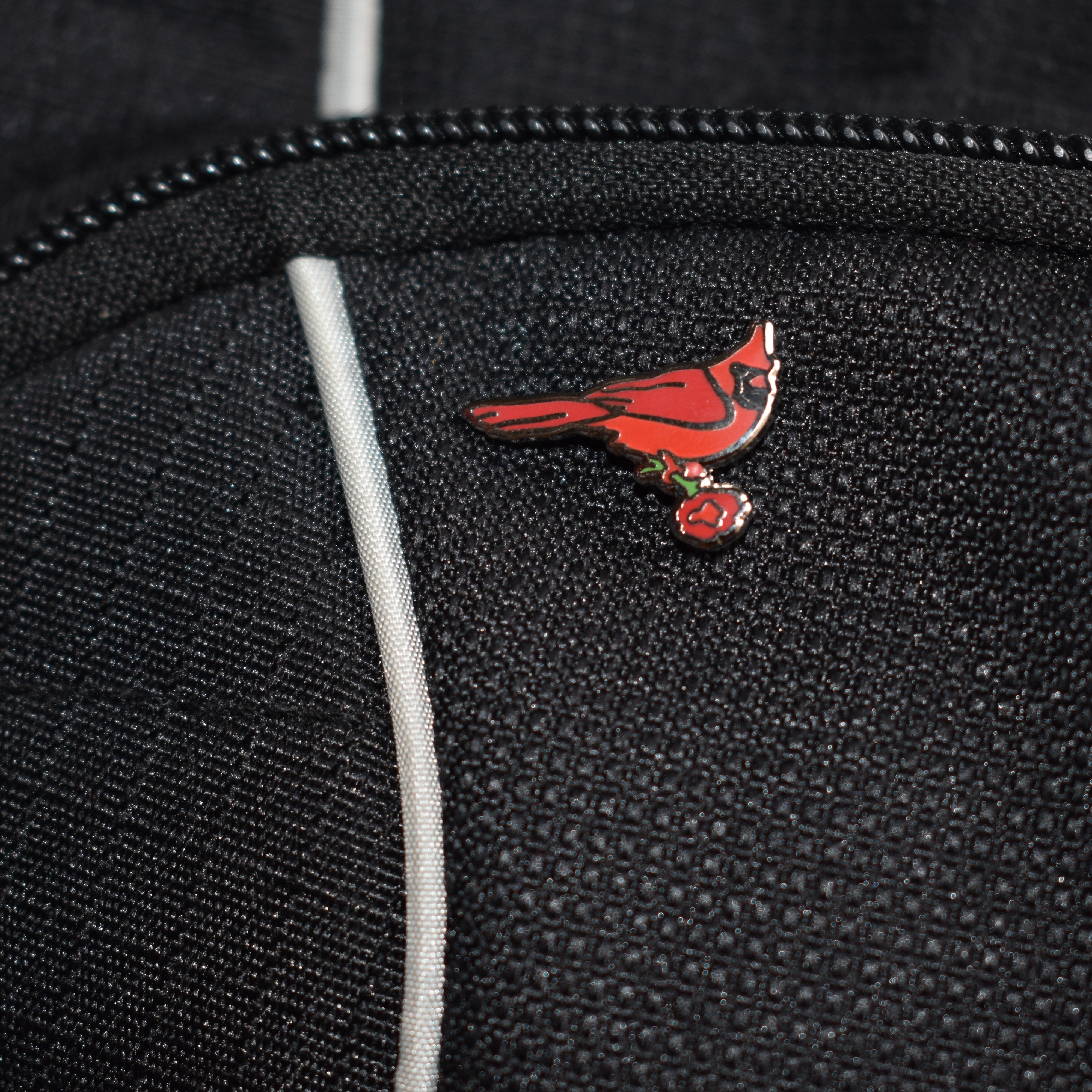 Cardinal and Carnation Pin