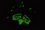 Glow in the Dark Synchronous Firefly Hard Enamel Pin for DLiA